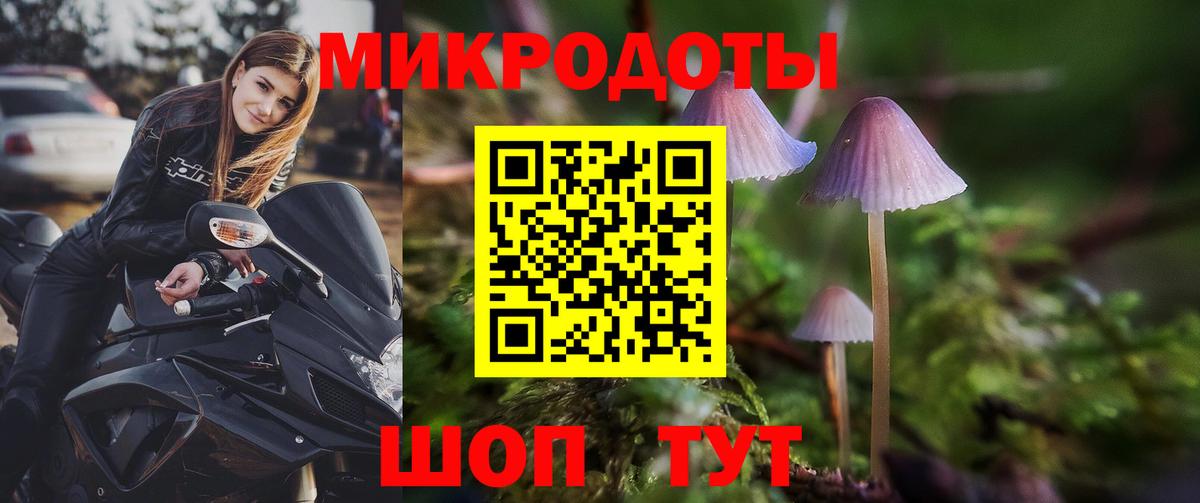 Пыть-Ях  Галлюциногенные грибы MAGIC MUSHROOMS  где можно купить   Вход с VPN 